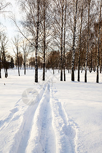 冬季公路风暴天空土地曲线旅行国家逆境街道森林季节图片