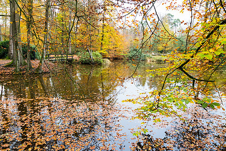 森林中带池塘的瀑布颜色图片