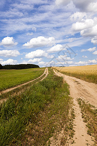 农村公路孤独场景太阳风景旅行运输季节农业运动草地背景图片