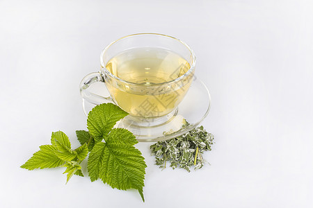 草药茶草本植物豆芽树叶飞碟杯子玻璃饮料医疗绿色图片
