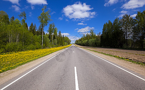 夏季公路运输季节场景天空木头寂寞植物土地环境风景图片