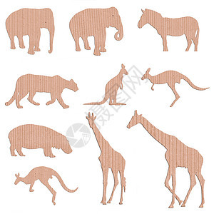 框纸动物形状白色包装纸艺术卡片瓦楞材料野生动物哺乳动物盒子棕色背景图片