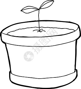 Pot 的概要植物图片