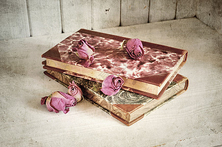 书上的玫瑰花瓣生活记忆墨水书架笔记历史日记桌子写作图片