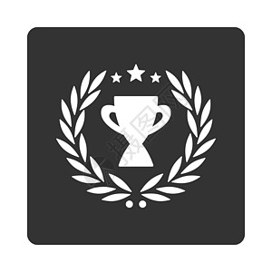 颁奖按钮覆盖彩色集的光标图标迷宫星星字形高脚杯报酬正方形奖项领导者玻璃竞赛图片