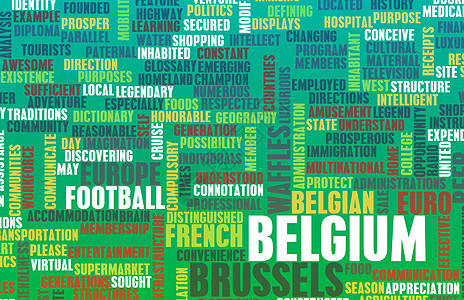 语言类比利时食物首都美食投资网络文化访问国籍足球教育背景