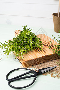迷迭香和百孔香料桌子园艺草本植物百里香叶子枝条植物学疗法植物图片