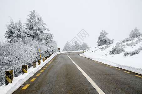 白雪路危险森林风险小路场景速度天气蓝色季节山脉图片