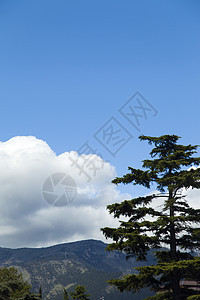 山上云云景观地平线太阳城市旅行森林气球蓝色爬坡山脉图片