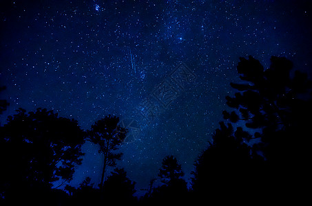 天空中的星星星际科学艺术天文学空气旅行天堂宇宙森林摄影图片