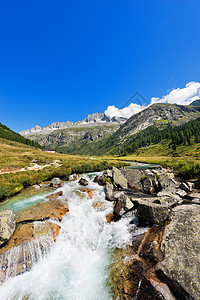 意大利阿达米洛特伦托小屋钓鱼全景激流旅行松树登山岩石树木国家图片