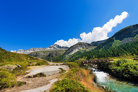 意大利阿达米洛特伦托旅行高山小屋树木全景森林运动避难所钓鱼公园图片