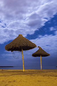 月光海滩上的棕榈伞伞形海岸日落热带支撑派对棕榈海滩地平线假期图片