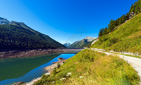 Bissina 湖与大坝特伦托意大利发电机工程活力建筑学高山资源生态技术人工湖环境图片