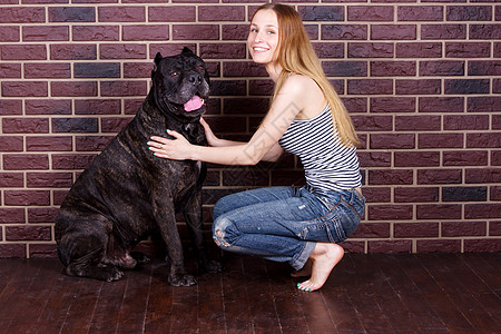 女孩拥抱一只大狗 Cane Corso白色朋友朋友们学习伴侣宠物甘蔗训练成人动物图片