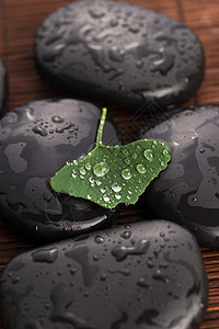带有水滴的zen石块和ginkobiloba叶子岩石石头福利禅意反射药品植物群治疗平衡植物图片