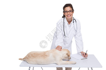 兽医在狗家做检查女士家畜动物医疗犬类小狗宠物工作女性专家图片