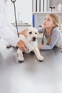 用听诊器检查一只狗小狗快乐医疗微笑动物女士专家女孩家畜宠物图片