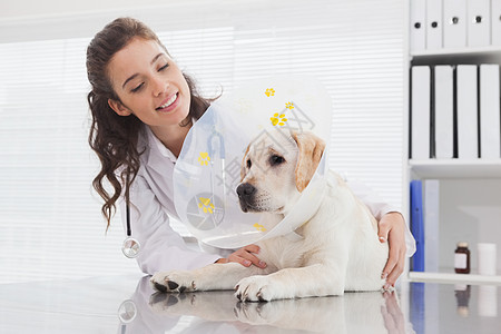 微笑的兽医和狗与锥壳家畜工作医疗检查女性动物宠物女士考试办公室图片