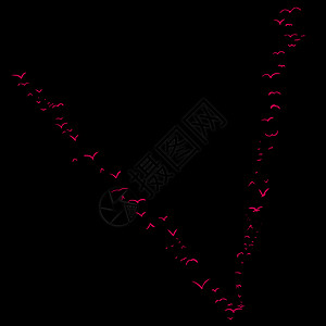 五 鸟类成形五动物插图蝙蝠黑色红色编队飞行背景字母图片