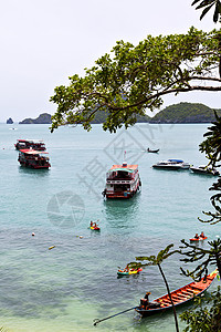 绿色环礁湖和树海沿岸的海岸线 泰国图片