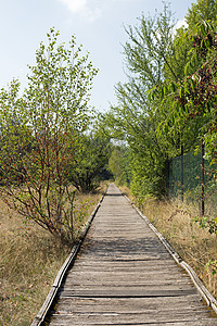 草地方式风化沙丘木头木板自然保护区小路休息娱乐图片