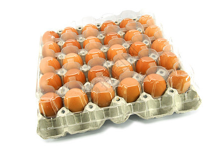 包装袋中鸡养鸡场的鸡蛋饮食鸭子纸盒家禽生活食品母鸡盒子液体早餐图片