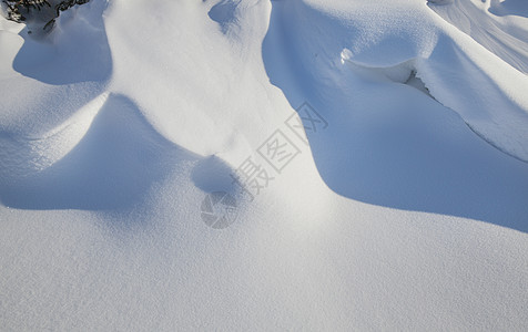 雪雪运动粉末地形场地寒冷水晶阳光阴影波纹雪花柔软度图片