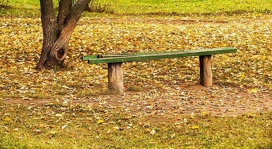 旧长凳 秋天图片
