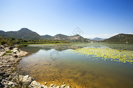 斯卡达尔湖公园百合植物蓝色岩石风景爬坡叶子国家场景图片