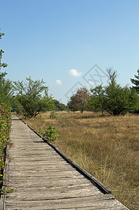 草地方式娱乐风化自然保护区小路沙丘木板休息木头图片