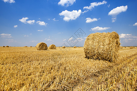 稻草堆大麦粮食农业草垛玉米场景季节收获蓝色食物图片
