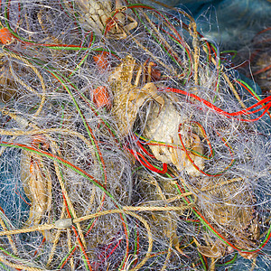 鱼网中的蓝蟹螃蟹绳索浮标爱好对角线渔夫绘画海洋宏观渔船图片