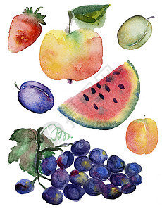 水果抽水彩色植物手工团体营养甜点笔触饮食叶子李子艺术图片