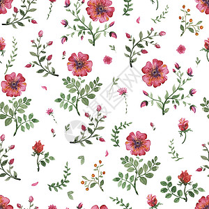 鲜花水彩图案叶子玫瑰打印纪念日笔触花园树叶织物花朵绘画图片