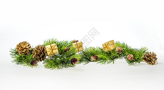 树枝和礼品的圣诞节构成情况圣诞组成叶子卡片绿色植物边界动物群植物群锥体装饰新年风格图片