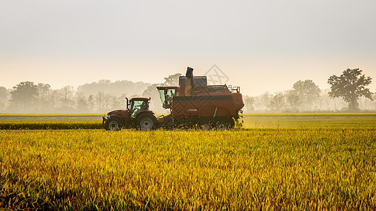 种植大米农家农民车辆耕地粮食机器食物季节农场干草图片