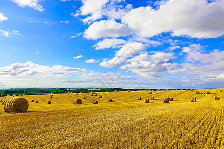 坚固场上的黄环状草条地平线干草黄色季节草地农田乡村农业收成天空图片