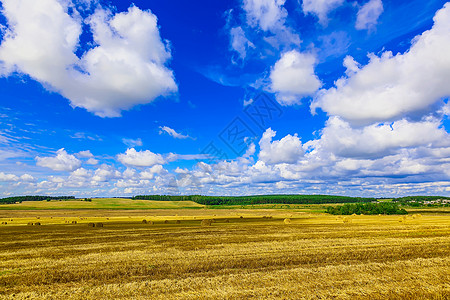 坚固场上的黄环状草条农田农业乡村蓝色小麦大麦收成季节收获干草图片