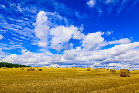 坚固场上的黄环状草条收获大麦小麦场地农业草地黄色天空干草圆形图片