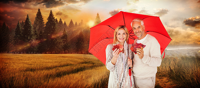 红伞下幸福情侣肖像的合成图象树叶日落季节风景地平线男人环境影棚女性丈夫图片