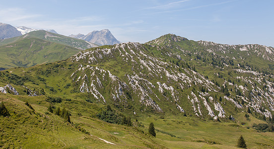 瑞士阿尔卑斯山的典型视图反射运动木头国家顶峰岩石餐厅草地场地天空图片