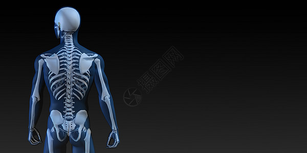 具有骨骼结构的透明人解剖学生物学骨科教育蓝色医生卫生保健药品运动图片