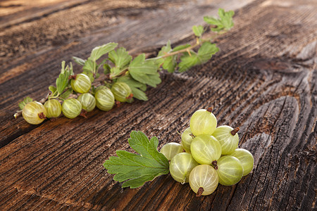 绿鹅莓营养果汁团体乡村浆果桌子醋栗水果树叶图片