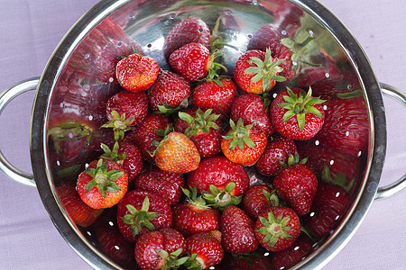 新鲜的成熟草莓红色浆果甜点活力果味叶子饮食花园水果绿色图片