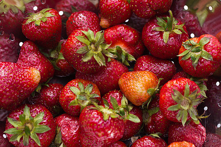 新鲜的成熟草莓果味花园水果红色浆果饮食活力甜点绿色叶子图片