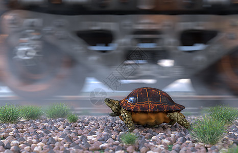 谁更快 铁路轨道 和驾驶海龟的训练 旅行技术概念 笑声天空动物穿越速度轮子生态场景旅游跑步航程图片