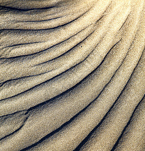 干沙和沙滩兰萨罗特的抽象纹理旅行气泡小岛旅游海浪灰尘热带海岸线阴影石头图片