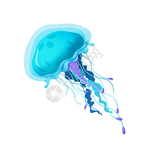 说明 要素设置 Jellyfish 现实的卡通生活方式图片