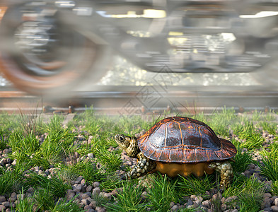 谁更快 铁路轨道 和驾驶海龟的训练 旅行技术概念 笑声机器危险穿越运输小路场景旅游环境戏剧性动物图片